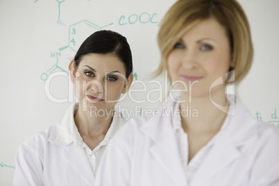 Cute women in front of a white board