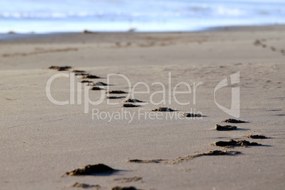 beach footsteps