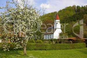 Dorfkirche und Obstbaum