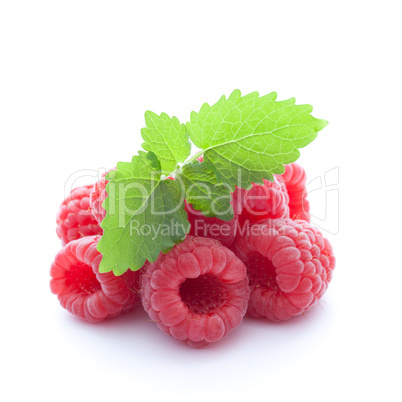 frische Himbeeren / fresh raspberries