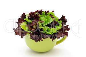 Lettuce leaves in a bowl