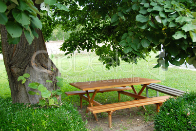 Table in garden