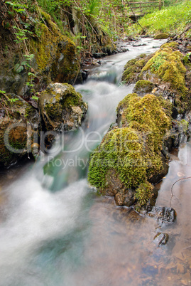 Forest waterfall