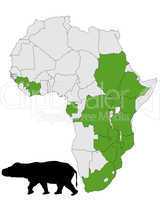 Flusspferd Afrika Verbreitung