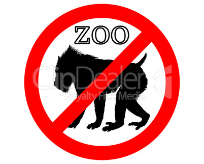 Mandrill im Zoo verboten