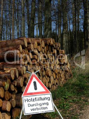 Holzfällung