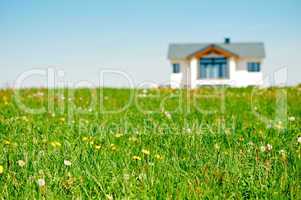 Meadow with Family House
