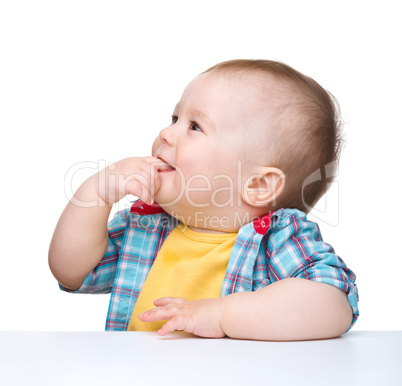 Portrait of a cute little boy