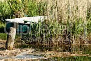 Ruderboot im Schilf