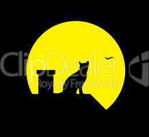 cat at the moon