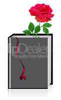 Red rose in the book isolated on white