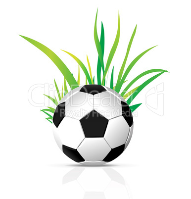 vector soccer ball