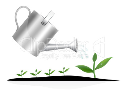 Young plant with watering can