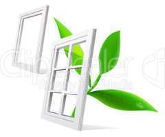 window and leaf