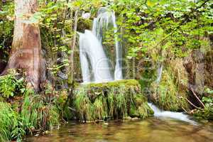 Waterfall in the Forest