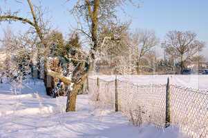Garten im Winter - garden in winter 13