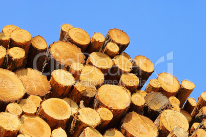 Holzstapel - stack of wood 35