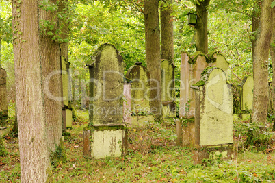 Juedischer Friedhof - jewish cemetary 13