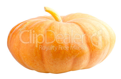 Big pumpkin