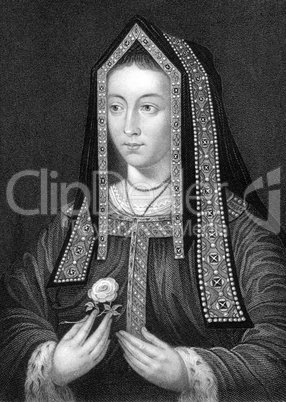 Elizabeth of York