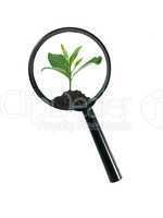 Magnifying Glass