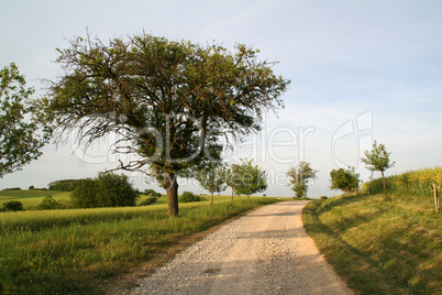 Feldweg