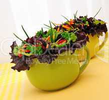 Vegetable salad with Lactuca sativa