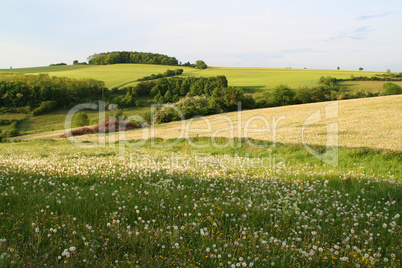 Landschaft