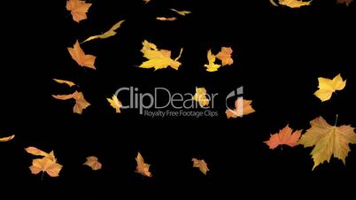 Falling autumn leaves backgrounds - masked