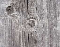Altes Holzbrett - Wood Texture