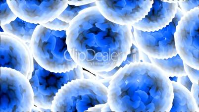 blue wild flowers in water,water ripple slowly spread.floral,flower,petals,romance,valentine,blossom,flora,