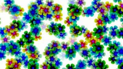 color wild flower flow background.Vegetables,bloom,floral,love,petals,