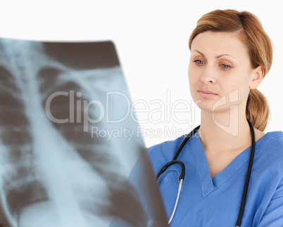 Concentrated female doctor looking at an X-ray