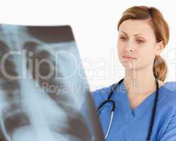 Concentrated female doctor looking at an X-ray