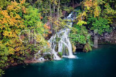Waterfall in Autumn Forest