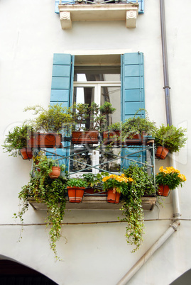 Terrace and window with flowerpots