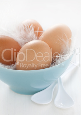frische Eier / fresh eggs