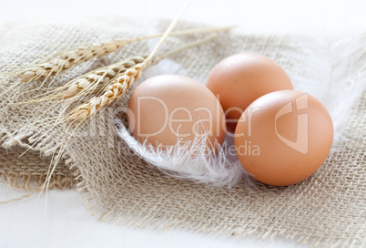drei braune Eier / three brown eggs