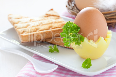 gekochtes Ei / boiled egg