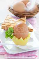 Frühstücksei / breakfast egg