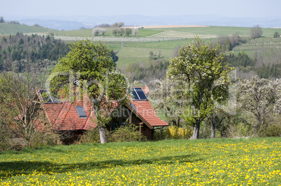 House in the Nature