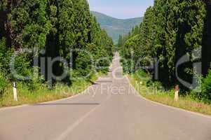 Zypressenallee laengste Italiens - cypress avenue longest from Italy 02