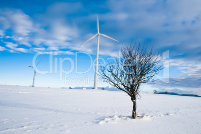 Wind Turbines in Winter Landscape