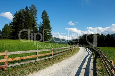 Beautiful alpine countryside road among meadows and forests