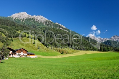 Alpine landscape in Austria: mountains, forests, meadows and a farm.