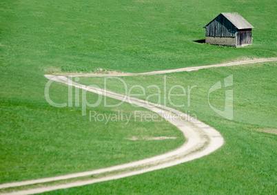 Crooked Road in the Meadow