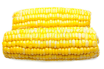 Corn-cob isolated