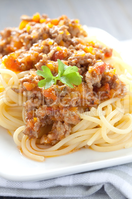 Nudeln mit Bolognese / pasta with bolognese