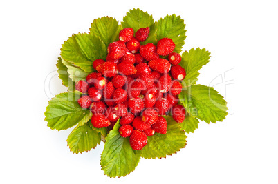 Strawberries with leaves