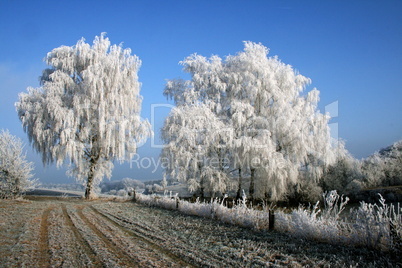 Winterlandschaft